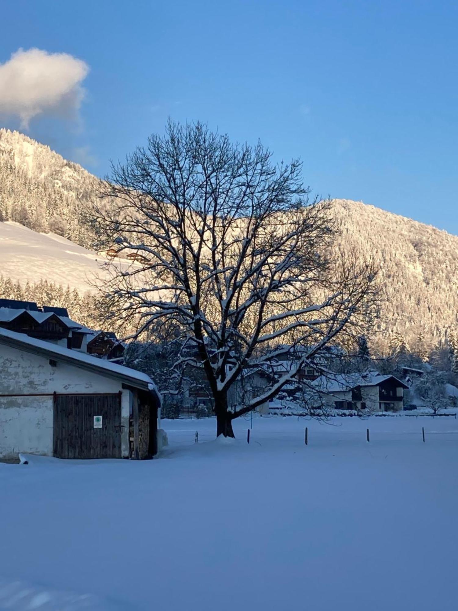 Tanja'S Kaiserdomizil Walchsee Exterior photo