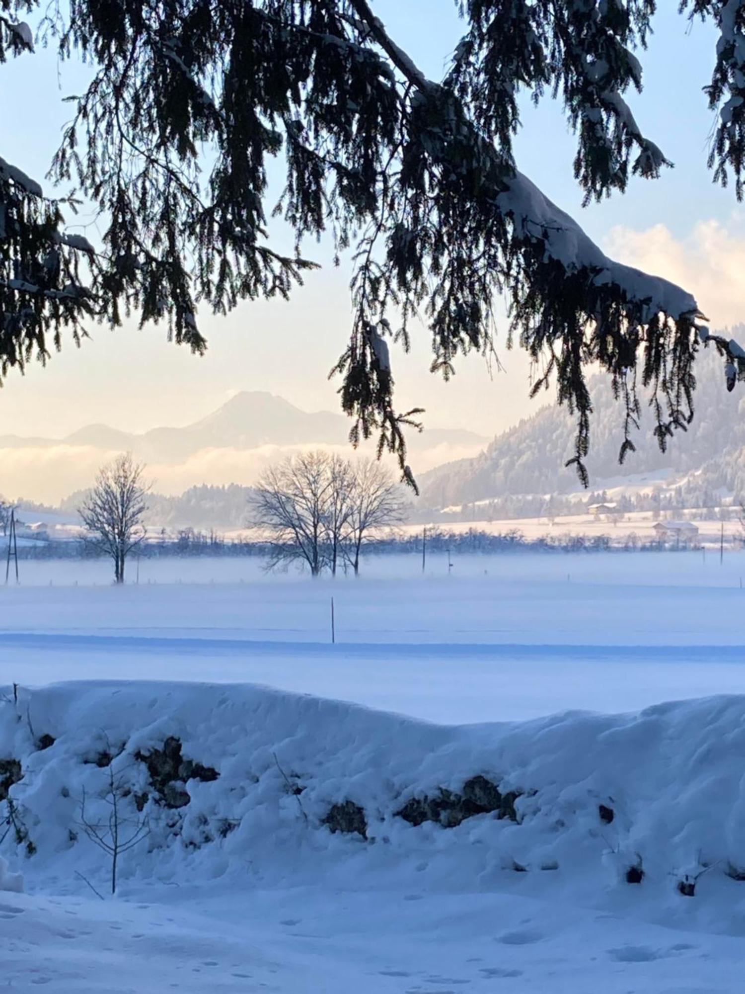 Tanja'S Kaiserdomizil Walchsee Exterior photo